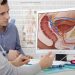 Are The Prostate Supplements On Your Side?
