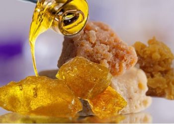 Comparing Cannabis Buds With Concentrates: A Guide For Medical Cannabis Users!