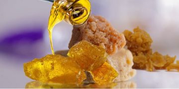 Comparing Cannabis Buds With Concentrates: A Guide For Medical Cannabis Users!