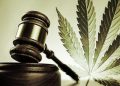Is Cannabis Legal In Arizona? Find All Details Here