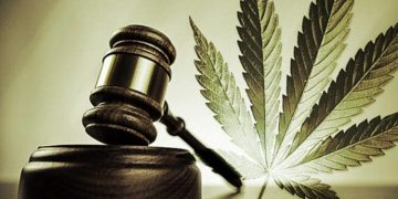 Is Cannabis Legal In Arizona? Find All Details Here