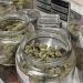 Know about the features and functions of CBD store products