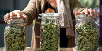 Major reasons for the popularity of online hemp dispensaries