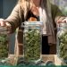 Major reasons for the popularity of online hemp dispensaries
