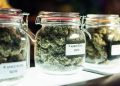 7 Ways To Choose The Best Cannabis Dispensary