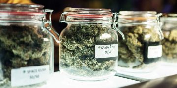 7 Ways To Choose The Best Cannabis Dispensary