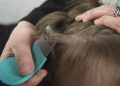 The Definitive Guide To Getting Rid Of Lice On Your Hair
