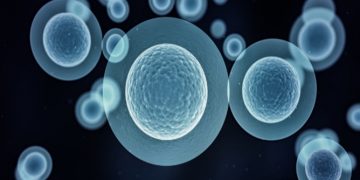 How Long Does Stem Cell Therapy Take to Heal?