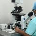 Exploring PDG Treatment: The Top Five Reasons to Visit