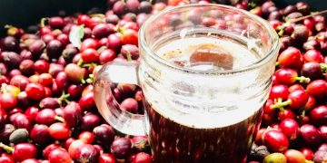 Cranberry Juice and Kidney Stones: Separating Fact from Fiction