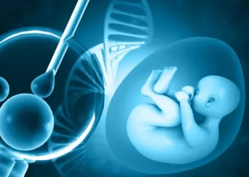 Hope in Conception – Understanding the IVF Process
